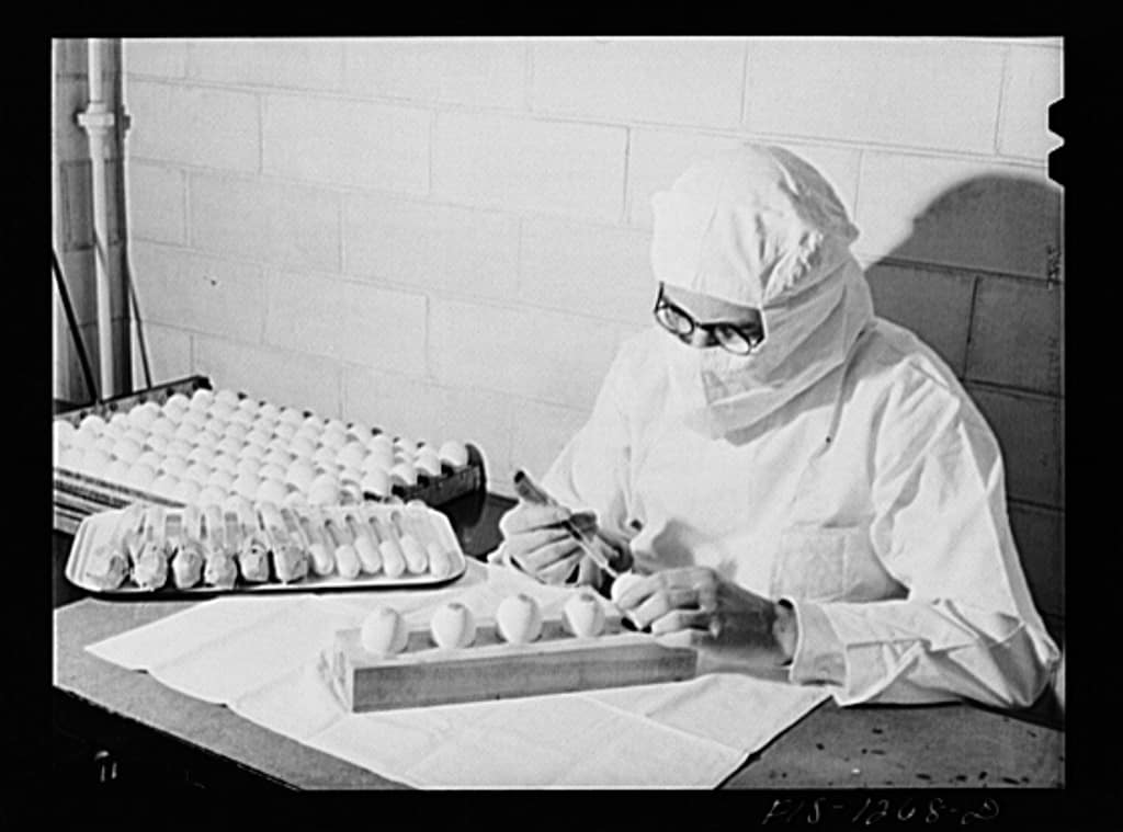 Yellow Fever Past and Present GIDEON