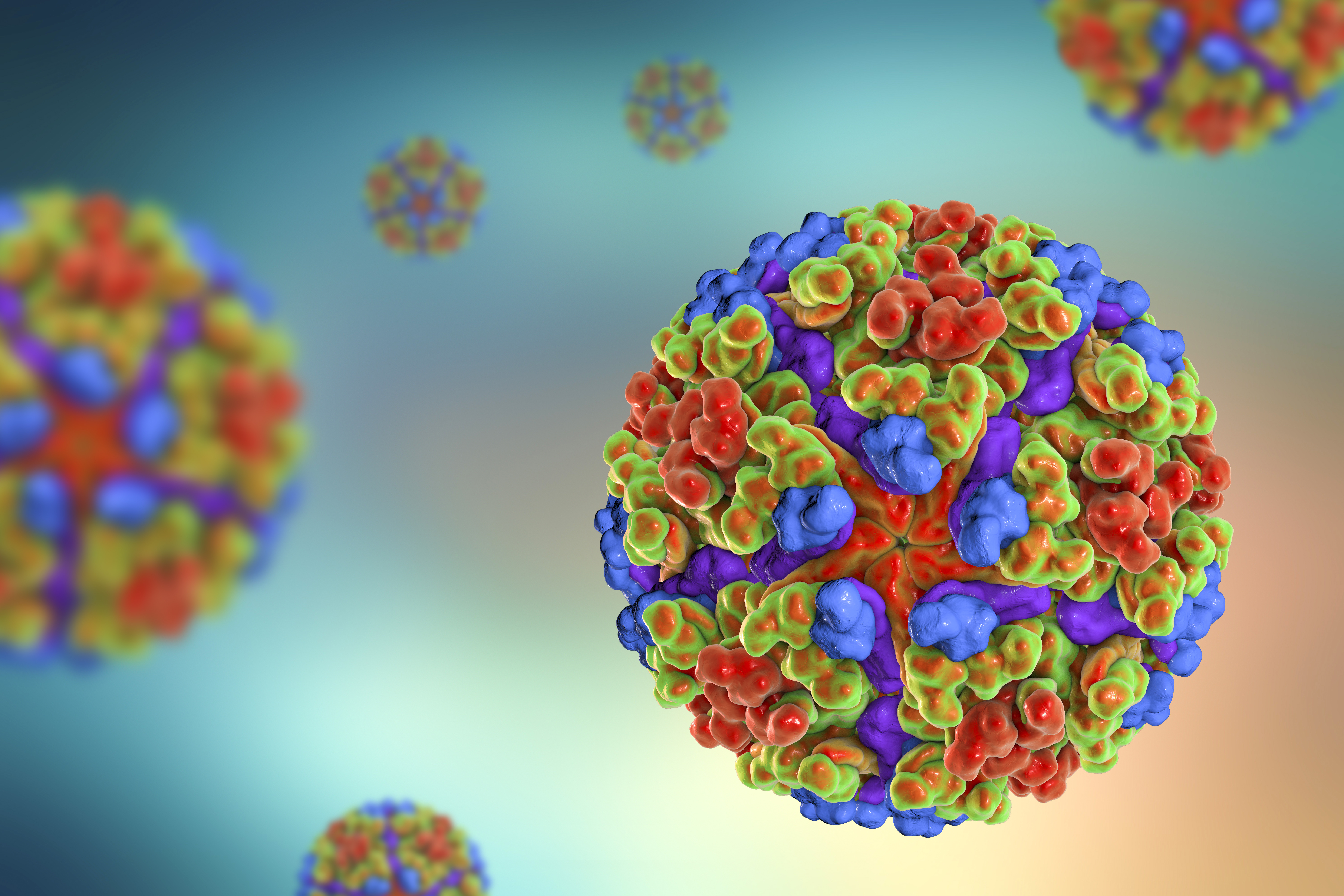 Chikungunya virus, 3D illustration. Emerging mosquito-borne RNA virus from Togaviridae family that can cause outbreaks of a debilitating arthritis-like disease