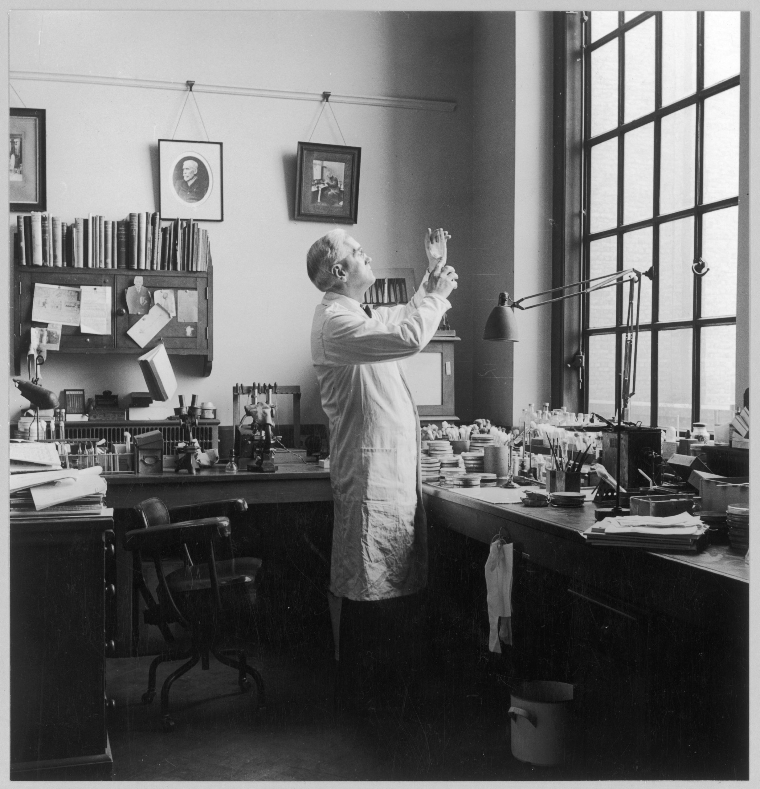Fleming in his Lab - Photo. Date: 1881 - 1955