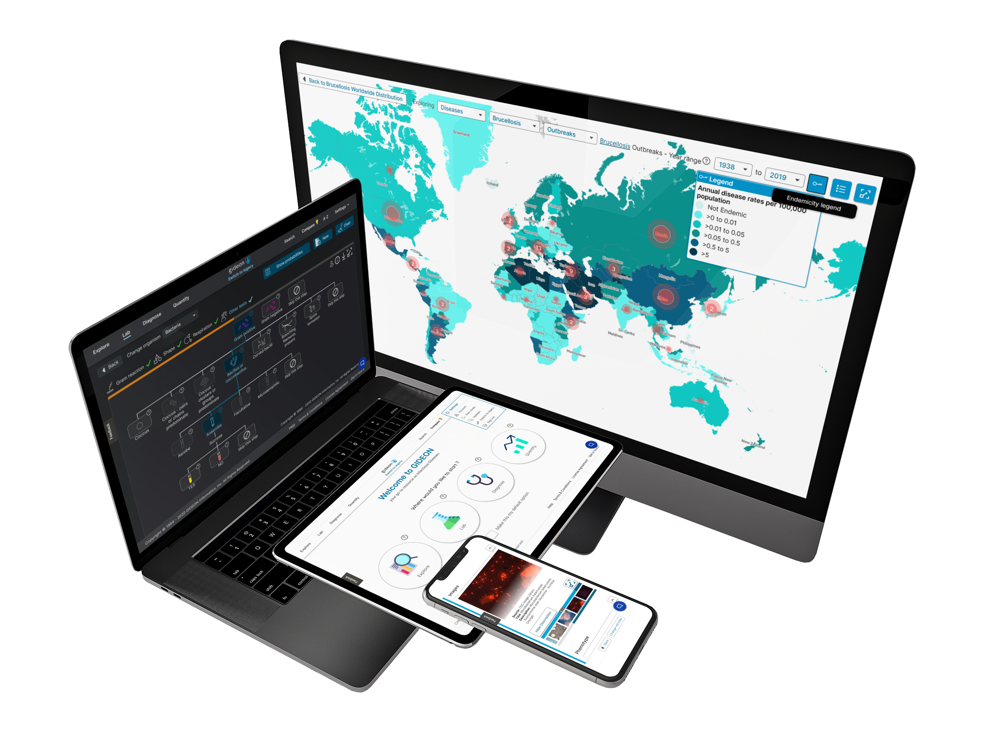Individual annual subscription GIDEON Global Infectious Diseases