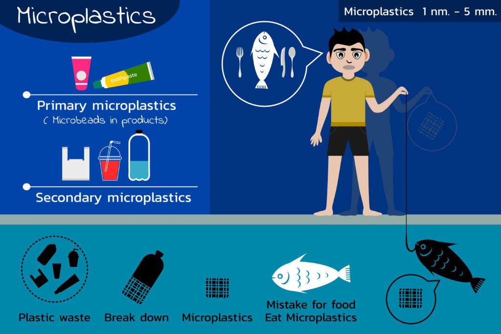 Ocean microplastics pollution cycle