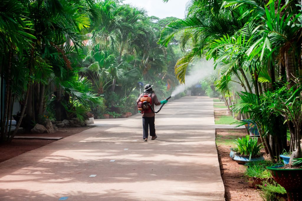 A man using a sprinkler ULV type for kill mosquito carrier of Zika virus and dengue fever it outbreak in school at the rainy season.