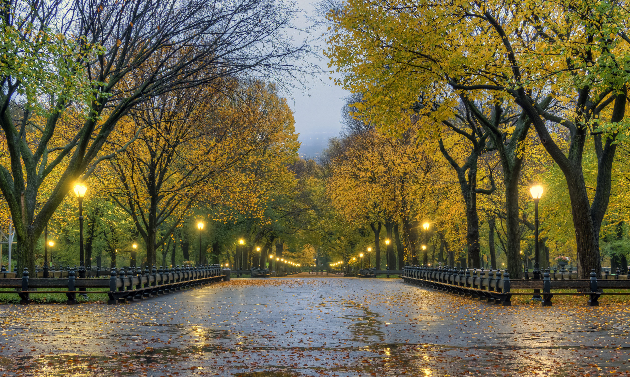 The Mall in Central Park, New York City in late autumn on rainy day